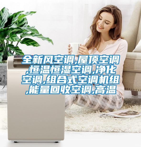 全新風(fēng)空調(diào),屋頂空調(diào),恒溫恒濕空調(diào),凈化空調(diào),組合式空調(diào)機組,能量回收空調(diào),高溫