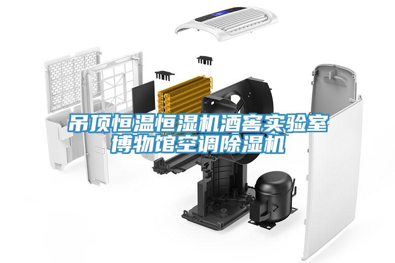 吊頂恒溫恒濕機(jī)酒窖實(shí)驗(yàn)室博物館空調(diào)除濕機(jī)