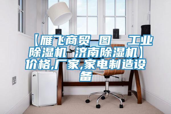 【雁飛商貿(mào) 圖  工業(yè)除濕機(jī) 濟(jì)南除濕機(jī)】?jī)r(jià)格,廠家,家電制造設(shè)備