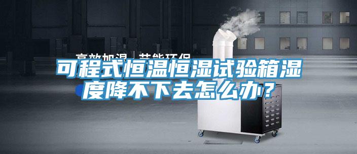 可程式恒溫恒濕試驗箱濕度降不下去怎么辦？