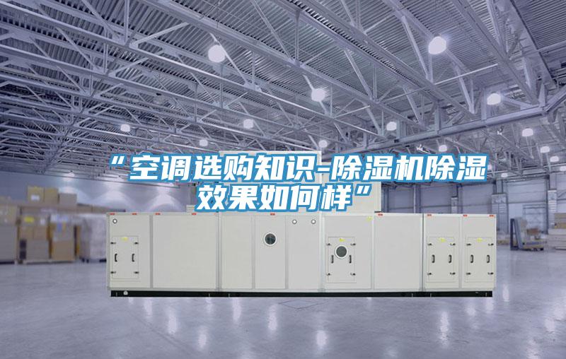 “空調(diào)選購知識(shí)-除濕機(jī)除濕效果如何樣”
