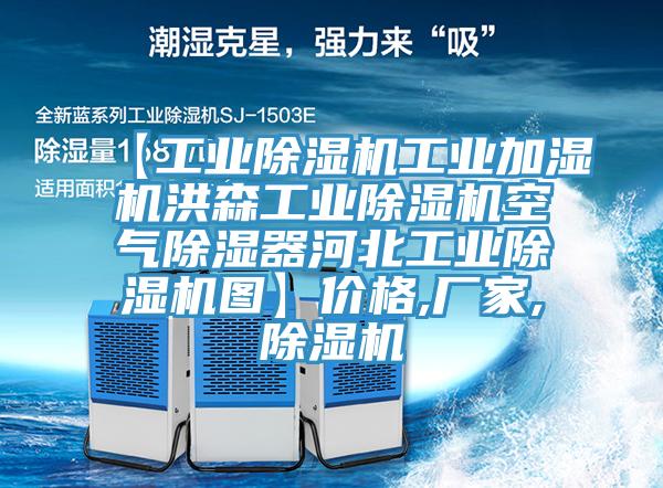 【工業(yè)除濕機工業(yè)加濕機洪森工業(yè)除濕機空氣除濕器河北工業(yè)除濕機圖】價格,廠家,除濕機