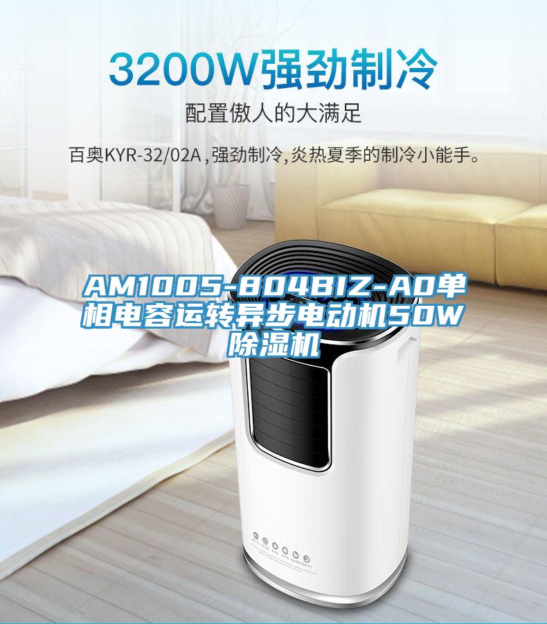 AM1005-804BIZ-A0單相電容運轉(zhuǎn)異步電動機(jī)50W除濕機(jī)