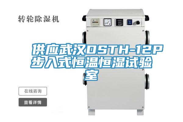 供應(yīng)武漢DSTH-12P步入式恒溫恒濕試驗(yàn)室