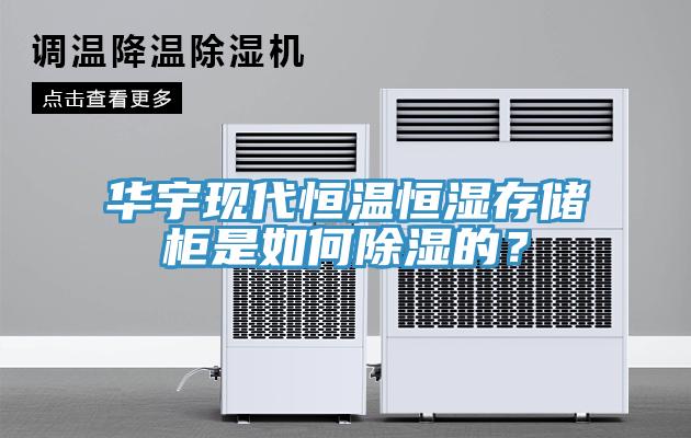 華宇現(xiàn)代恒溫恒濕存儲柜是如何除濕的？