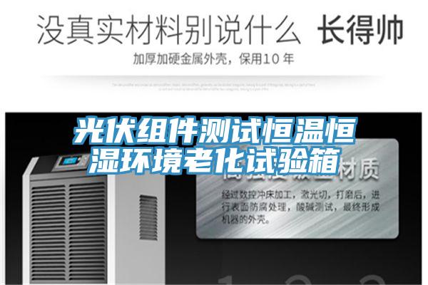 光伏組件測試恒溫恒濕環(huán)境老化試驗(yàn)箱