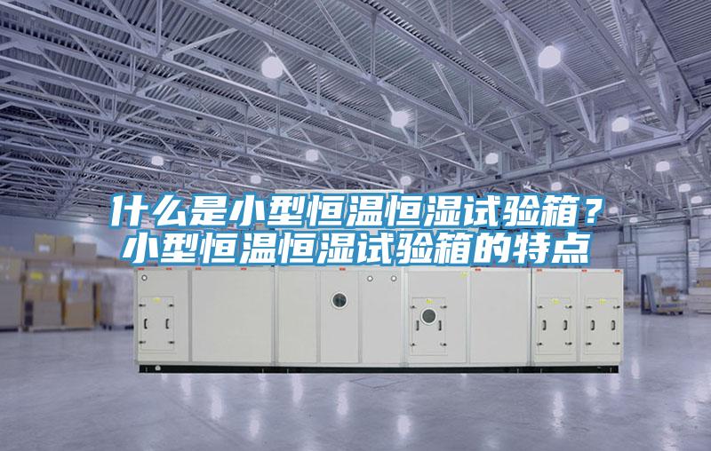什么是小型恒溫恒濕試驗箱？小型恒溫恒濕試驗箱的特點(diǎn)