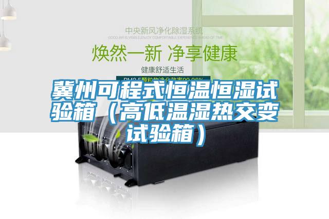 冀州可程式恒溫恒濕試驗(yàn)箱（高低溫濕熱交變?cè)囼?yàn)箱）