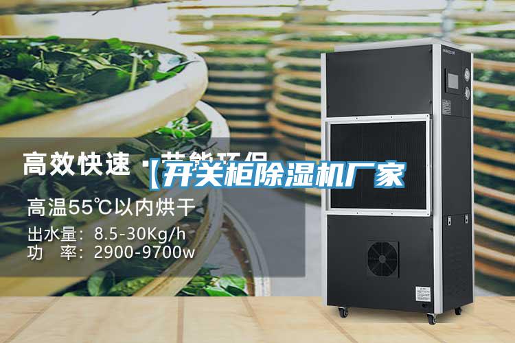 【開關(guān)柜除濕機廠家
