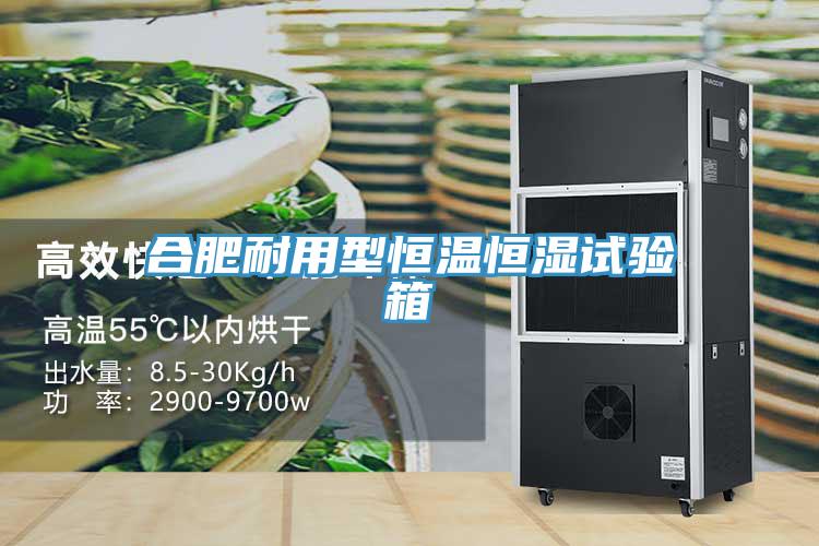 合肥耐用型恒溫恒濕試驗箱