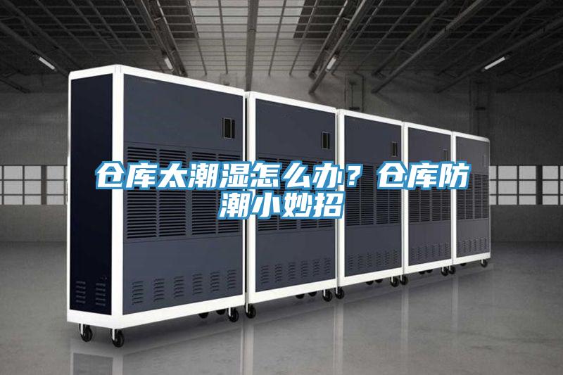倉(cāng)庫(kù)太潮濕怎么辦？倉(cāng)庫(kù)防潮小妙招