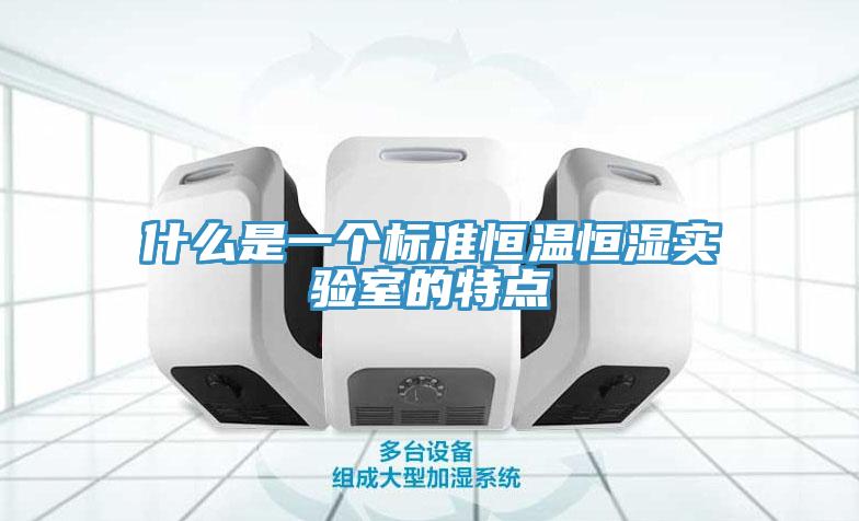 什么是一個標(biāo)準(zhǔn)恒溫恒濕實驗室的特點(diǎn)