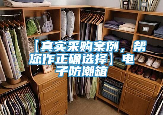 【真實(shí)采購案例，幫您作正確選擇】電子防潮箱