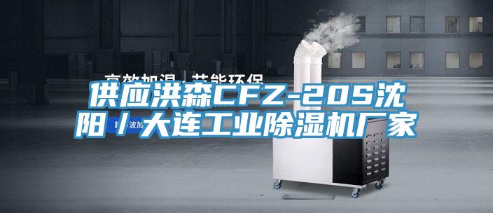 供應洪森CFZ-20S沈陽／大連工業(yè)除濕機廠家
