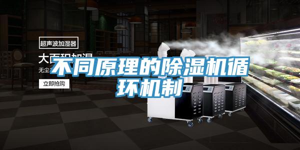不同原理的除濕機循環(huán)機制