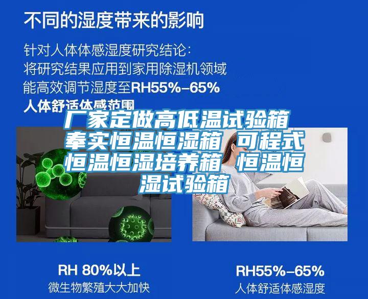 廠家定做高低溫試驗箱 奉實恒溫恒濕箱 可程式恒溫恒濕培養(yǎng)箱 恒溫恒濕試驗箱