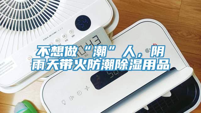 不想做“潮”人，陰雨天帶火防潮除濕用品