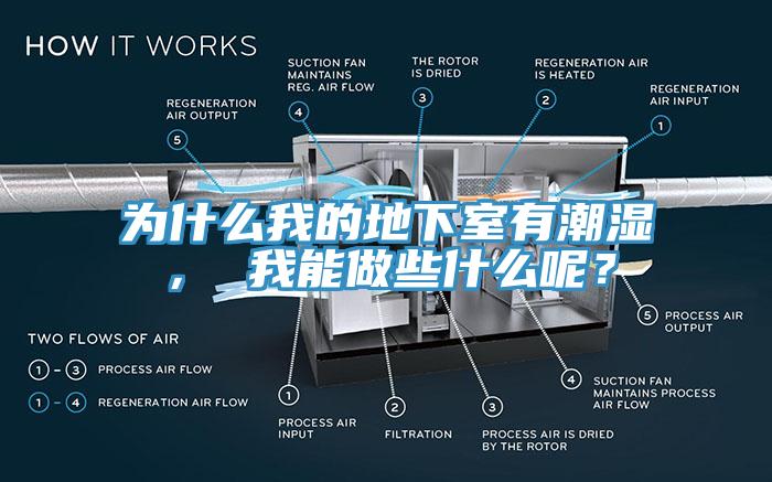 為什么我的地下室有潮濕， 我能做些什么呢？