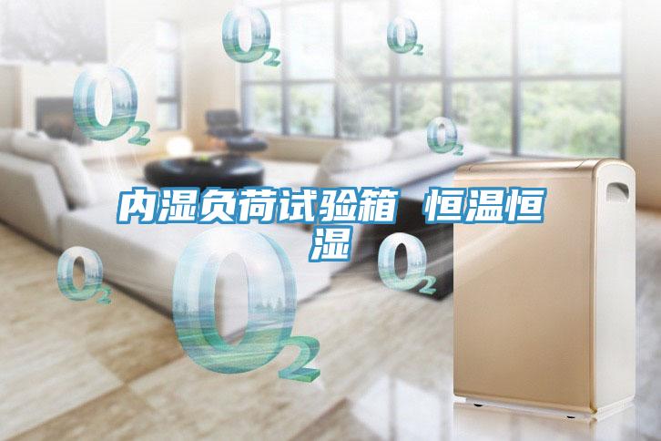 內(nèi)濕負荷試驗箱 恒溫恒濕