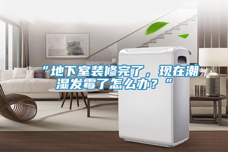 “地下室裝修完了，現(xiàn)在潮濕發(fā)霉了怎么辦？”