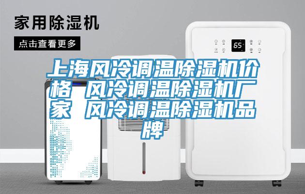 上海風(fēng)冷調(diào)溫除濕機價格 風(fēng)冷調(diào)溫除濕機廠家 風(fēng)冷調(diào)溫除濕機品牌