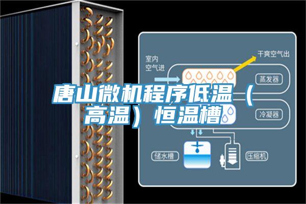 唐山微機(jī)程序低溫（高溫）恒溫槽