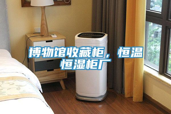 博物館收藏柜，恒溫恒濕柜廠