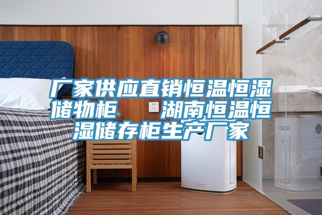 廠家供應(yīng)直銷恒溫恒濕儲物柜   湖南恒溫恒濕儲存柜生產(chǎn)廠家