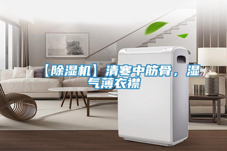 【除濕機】清寒中筋骨，濕氣薄衣襟