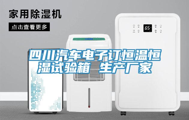 四川汽車電子訂恒溫恒濕試驗箱 生產(chǎn)廠家