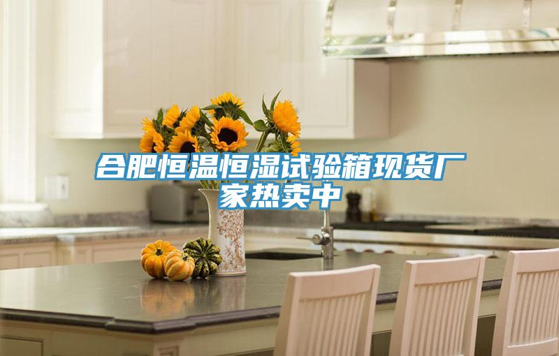 合肥恒溫恒濕試驗箱現(xiàn)貨廠家熱賣中