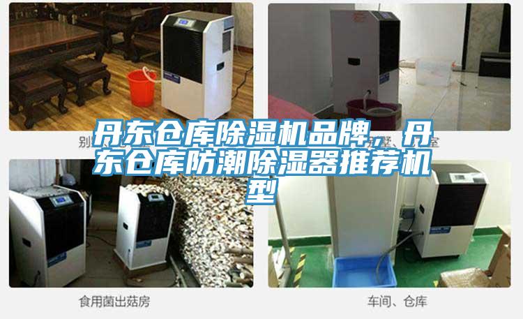 丹東倉庫除濕機品牌，丹東倉庫防潮除濕器推薦機型