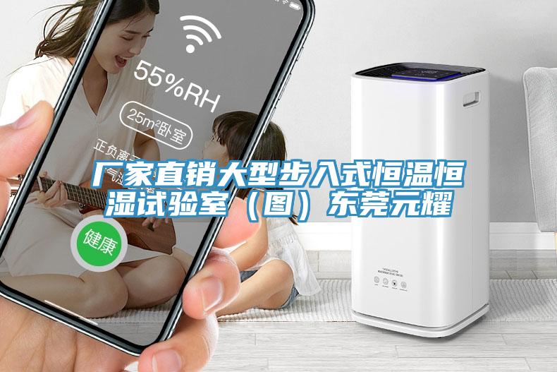 廠家直銷大型步入式恒溫恒濕試驗室（圖）東莞元耀