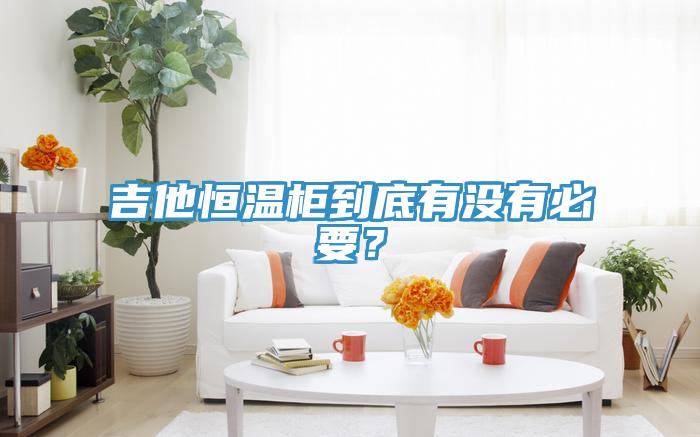 吉他恒溫柜到底有沒有必要？