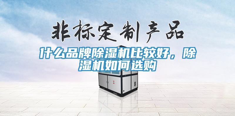 什么品牌除濕機(jī)比較好，除濕機(jī)如何選購(gòu)