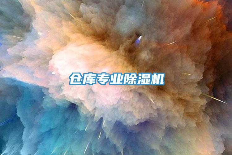 倉(cāng)庫(kù)專(zhuān)業(yè)除濕機(jī)