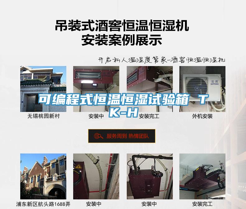 可編程式恒溫恒濕試驗(yàn)箱 TK-H