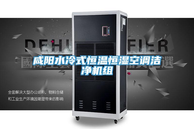 咸陽水冷式恒溫恒濕空調(diào)潔凈機(jī)組
