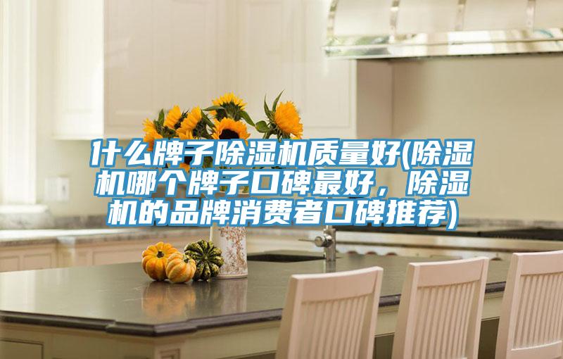 什么牌子除濕機(jī)質(zhì)量好(除濕機(jī)哪個(gè)牌子口碑最好，除濕機(jī)的品牌消費(fèi)者口碑推薦)