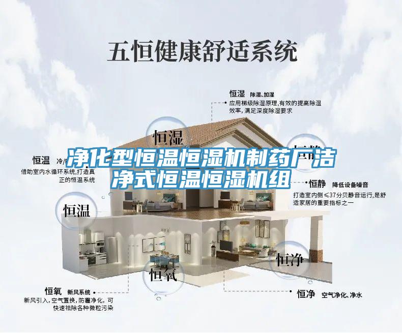 凈化型恒溫恒濕機(jī)制藥廠潔凈式恒溫恒濕機(jī)組