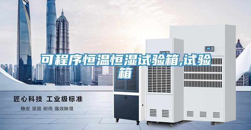 可程序恒溫恒濕試驗箱,試驗箱