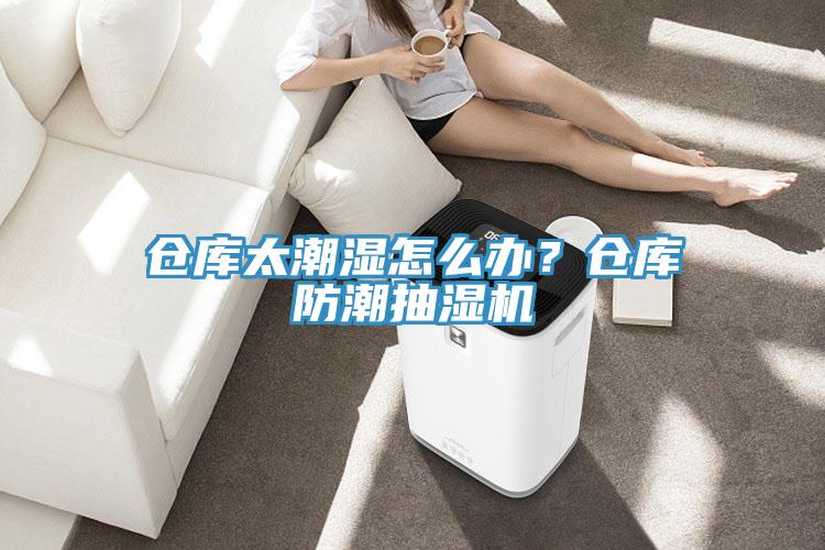 倉(cāng)庫(kù)太潮濕怎么辦？倉(cāng)庫(kù)防潮抽濕機(jī)