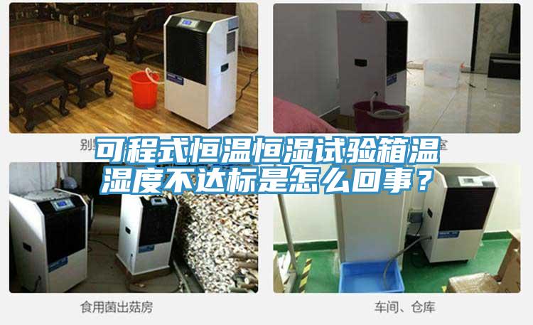 可程式恒溫恒濕試驗(yàn)箱溫濕度不達(dá)標(biāo)是怎么回事？