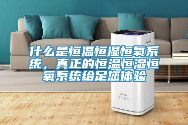 什么是恒溫恒濕恒氧系統(tǒng)，真正的恒溫恒濕恒氧系統(tǒng)給足您體驗