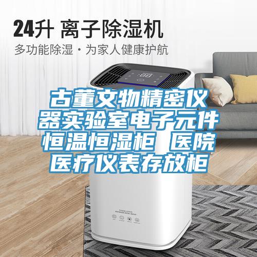 古董文物精密儀器實驗室電子元件恒溫恒濕柜 醫(yī)院醫(yī)療儀表存放柜