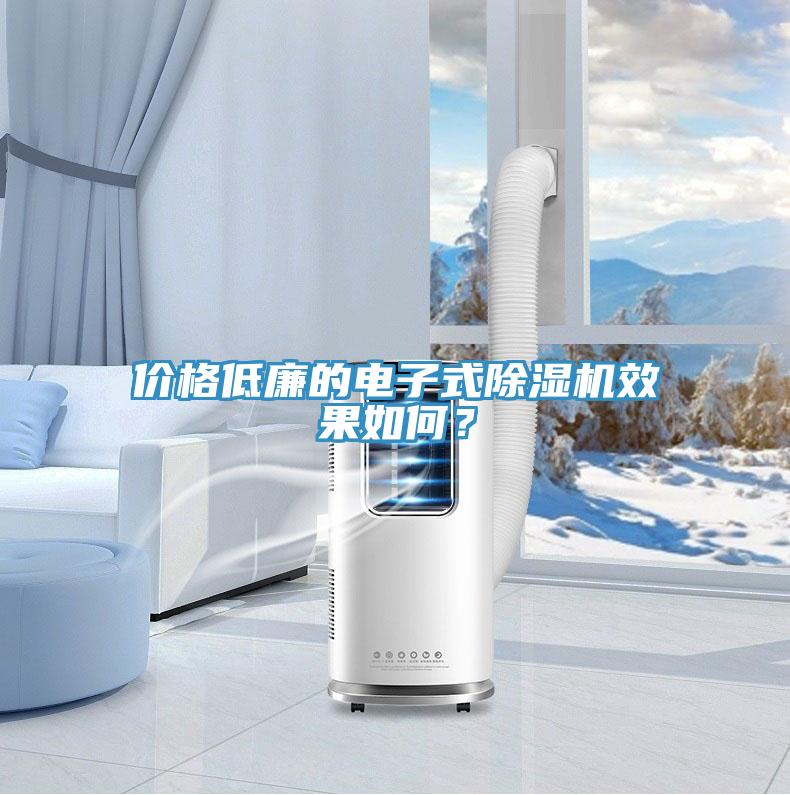 價格低廉的電子式除濕機(jī)效果如何？