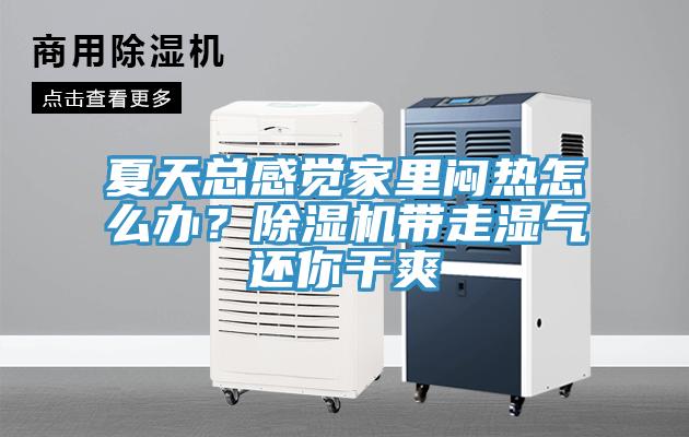 夏天總感覺家里悶熱怎么辦？除濕機帶走濕氣還你干爽