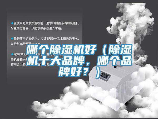 哪個除濕機(jī)好（除濕機(jī)十大品牌，哪個品牌好？）
