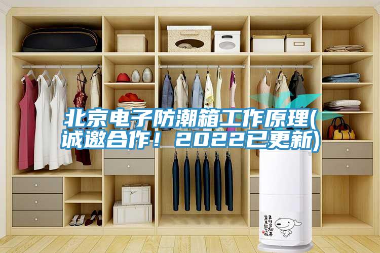 北京電子防潮箱工作原理(誠(chéng)邀合作！2022已更新)