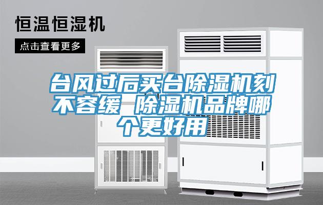 臺(tái)風(fēng)過(guò)后買臺(tái)除濕機(jī)刻不容緩 除濕機(jī)品牌哪個(gè)更好用